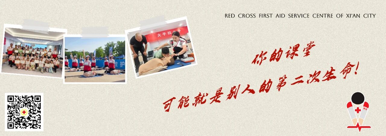 2025年红十字应急救护师资培训班招募公告